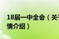 18届一中全会（关于18届一中全会的基本详情介绍）