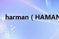 harman（HAMANN是哪个国家的品牌）