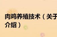 肉鸡养殖技术（关于肉鸡养殖技术的基本详情介绍）