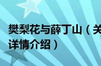 樊梨花与薛丁山（关于樊梨花与薛丁山的基本详情介绍）