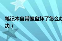 笔记本自带键盘坏了怎么办（笔记本电脑的键盘损坏如何解决）