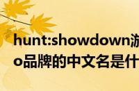 hunt:showdown游戏中文名是什么（Arttoo品牌的中文名是什么）