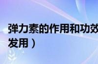 弹力素的作用和功效（弹力素是湿发用还是干发用）