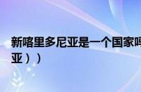 新喀里多尼亚是一个国家吗（新喀里多尼西亚（新咯里多尼亚））