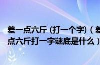 差一点六斤 (打一个字)（差一点六斤打一字是什么字（差一点六斤打一字谜底是什么））