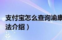 支付宝怎么查询渝康码（支付宝查询渝康码方法介绍）