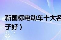 新国标电动车十大名牌（新国标电动车哪个牌子好）