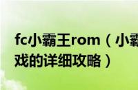 fc小霸王rom（小霸王FC游戏500合1打开游戏的详细攻略）