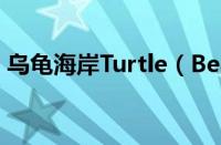 乌龟海岸Turtle（Beach是哪个国家的品牌）