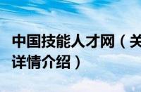 中国技能人才网（关于中国技能人才网的基本详情介绍）