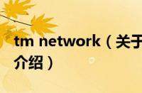 tm network（关于tm network的基本详情介绍）