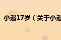 小遥17岁（关于小遥17岁的基本详情介绍）