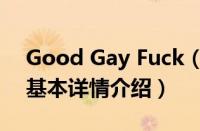 Good Gay Fuck（关于Good Gay Fuck的基本详情介绍）