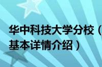 华中科技大学分校（关于华中科技大学分校的基本详情介绍）