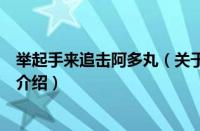 举起手来追击阿多丸（关于举起手来追击阿多丸的基本详情介绍）