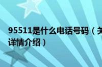 95511是什么电话号码（关于95511是什么电话号码的基本详情介绍）