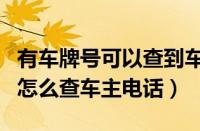 有车牌号可以查到车主名字跟电话吗（12123怎么查车主电话）