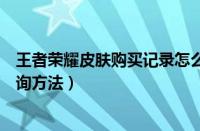 王者荣耀皮肤购买记录怎么查询（王者荣耀皮肤购买记录查询方法）