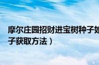 摩尔庄园招财进宝树种子如何获取（摩尔庄园招财进宝树种子获取方法）