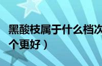 黑酸枝属于什么档次（红酸枝木和黑酸枝木哪个更好）