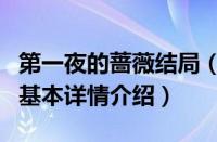 第一夜的蔷薇结局（关于第一夜的蔷薇结局的基本详情介绍）