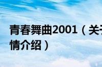 青春舞曲2001（关于青春舞曲2001的基本详情介绍）