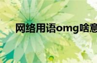 网络用语omg啥意思（omg什么意思）