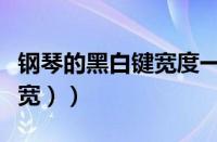 钢琴的黑白键宽度一样的吗（（钢琴黑白键长宽））