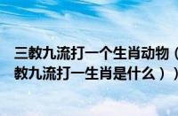 三教九流打一个生肖动物（三教九流打一生肖什么动物（三教九流打一生肖是什么））