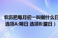 农历把每月初一叫做什么日（（农历把每月初一叫做什么日  选项A:朔日 选项B:望日））