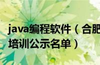 java编程软件（合肥口碑靠前java软件编程师培训公示名单）