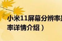 小米11屏幕分辨率是多少（小米11屏幕分辨率详情介绍）