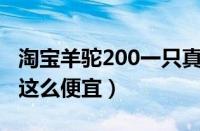 淘宝羊驼200一只真的吗（为什么淘宝上羊驼这么便宜）