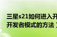 三星s21如何进入开发者模式（三星s21进入开发者模式的方法）