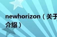 newhorizon（关于newhorizon的基本详情介绍）