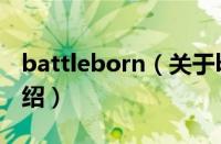 battleborn（关于battleborn的基本详情介绍）