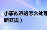 小事故逃逸怎么处理（轻微肇事逃逸怎么处罚新交规）