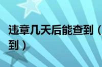 违章几天后能查到（车辆违章一般多久可以查到）