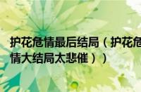 护花危情最后结局（护花危情大结局许sir有没有死（护花危情大结局太悲催））