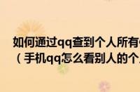 如何通过qq查到个人所有信息（怎么通过qq查询个人信息（手机qq怎么看别人的个人信息））