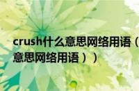 crush什么意思网络用语（塞班是什么意思梗（塞班是什么意思网络用语））