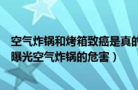 空气炸锅和烤箱致癌是真的吗（空气炸锅致癌是真的吗央视曝光空气炸锅的危害）