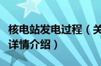 核电站发电过程（关于核电站发电过程的基本详情介绍）