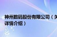 神州数码股份有限公司（关于神州数码股份有限公司的基本详情介绍）