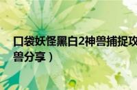 口袋妖怪黑白2神兽捕捉攻略（《口袋妖怪黑白二》捕捉神兽分享）