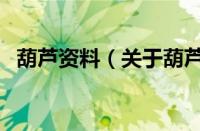 葫芦资料（关于葫芦资料的基本详情介绍）