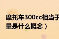 摩托车300cc相当于汽车多少排量（300cc排量是什么概念）