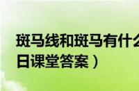 斑马线和斑马有什么关系（蚂蚁庄园12月10日课堂答案）