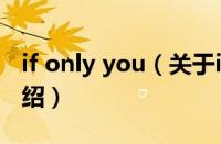 if only you（关于if only you的基本详情介绍）