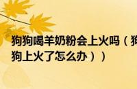 狗狗喝羊奶粉会上火吗（狗狗上火了怎么办怎么清火（宠物狗上火了怎么办））